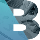 B2B SaaS Platforms